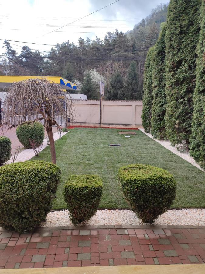 Casa Alina Deva Exterior foto