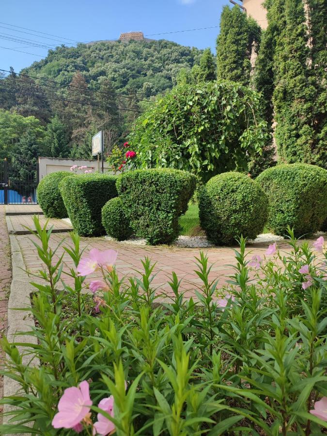Casa Alina Deva Exterior foto
