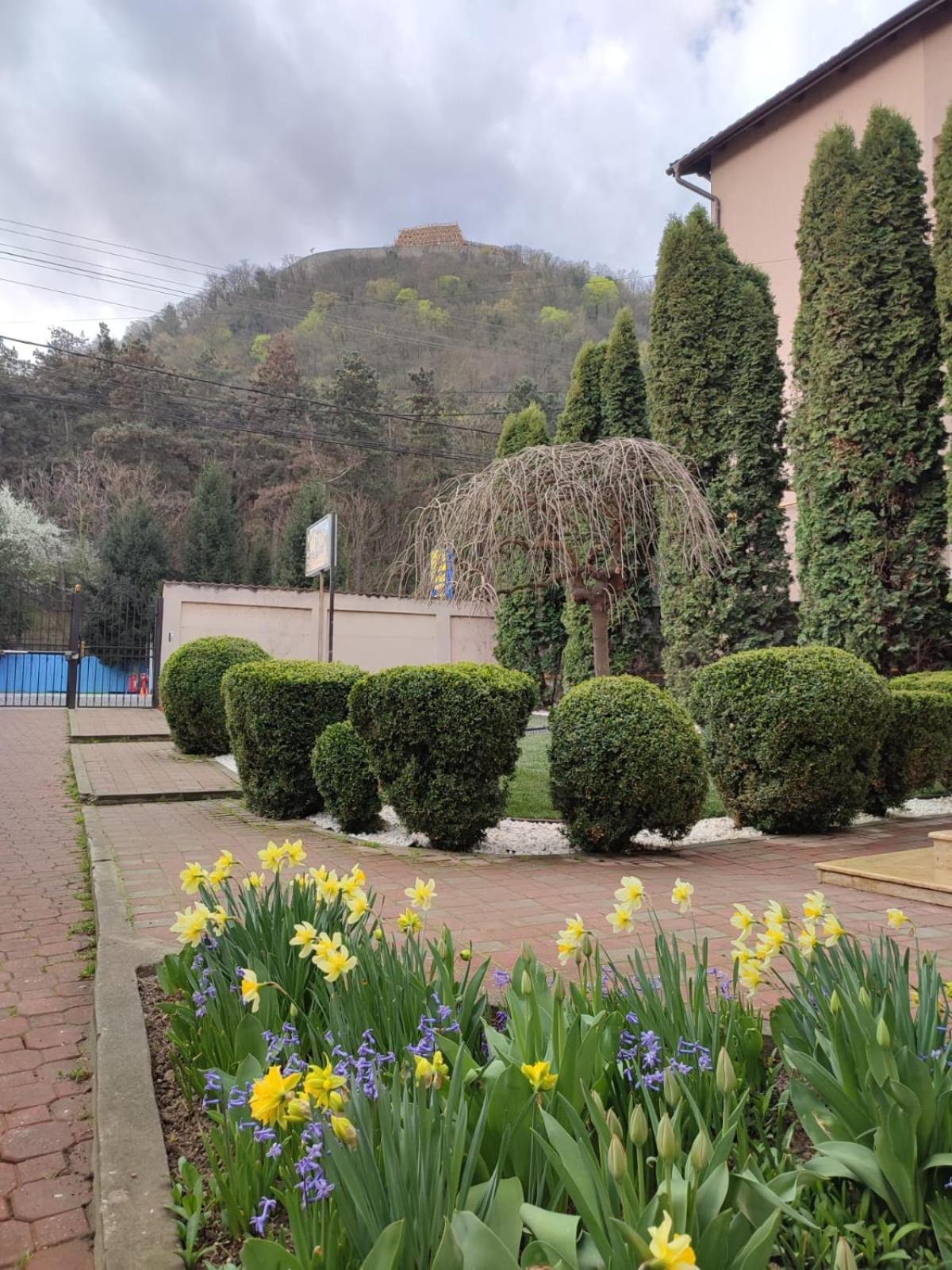 Casa Alina Deva Quarto foto